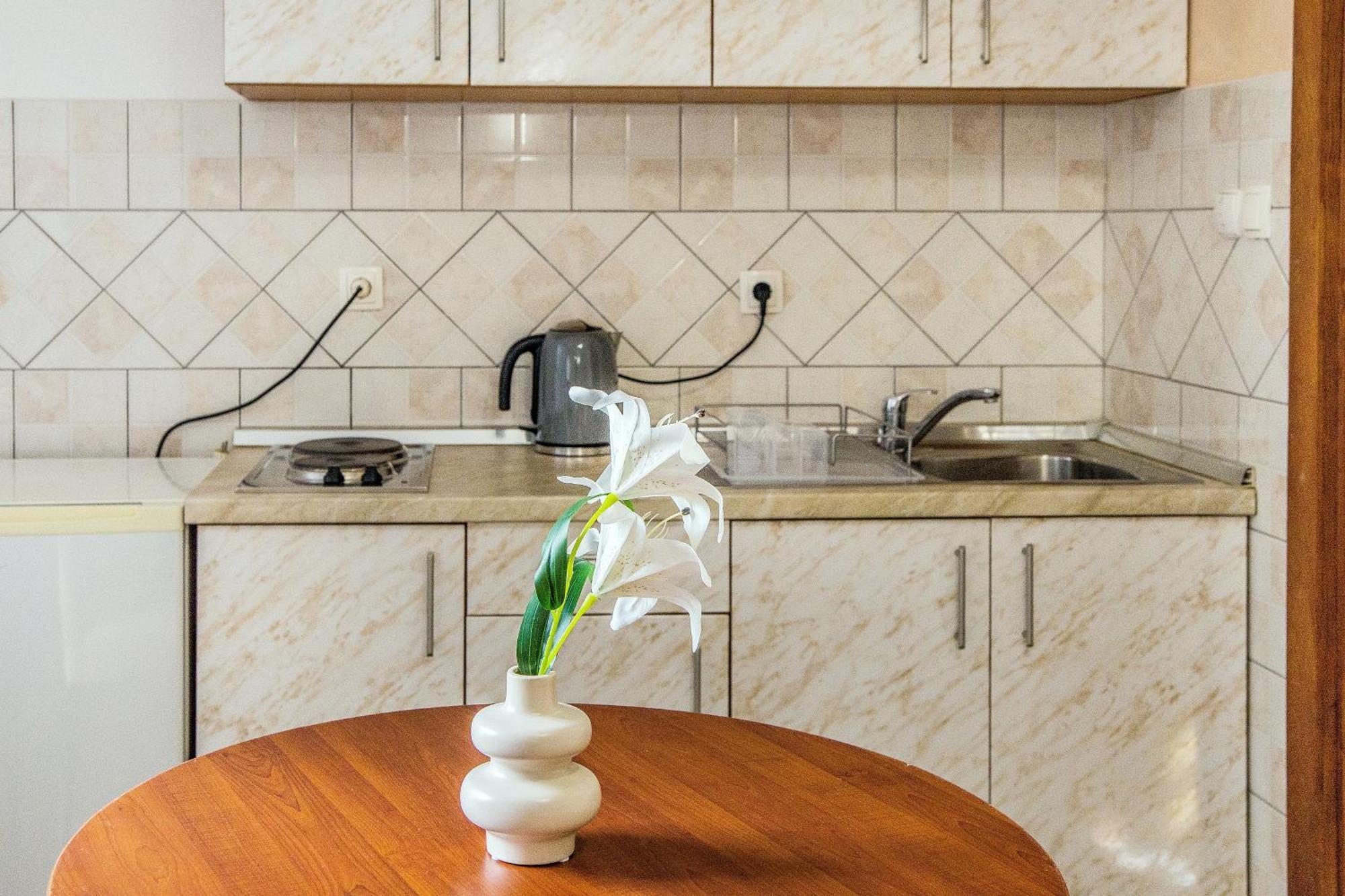 Apartment Dream House Rajic *